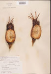 000001864-thumbnail.jpg