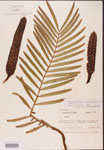 000001865-thumbnail.jpg