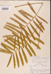 000001868-thumbnail.jpg
