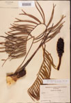 000001872-thumbnail.jpg