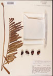 000001873-thumbnail.jpg