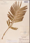 000001875-thumbnail.jpg