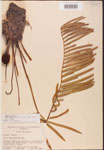 000001876-thumbnail.jpg