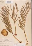 000001877-thumbnail.jpg