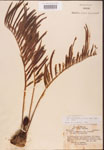 000001881-thumbnail.jpg