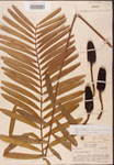000001883-thumbnail.jpg