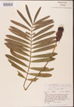 000001884-thumbnail.jpg