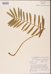 000001885-thumbnail.jpg