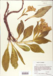 000003985-thumbnail.jpg