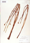 000004226-thumbnail.jpg
