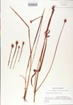 000004227-thumbnail.jpg