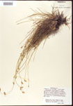 000010411-thumbnail.jpg