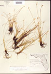 000010413-thumbnail.jpg