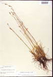 000010414-thumbnail.jpg