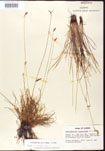 000010416-thumbnail.jpg