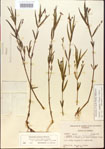 000012428-thumbnail.jpg