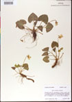 000013447-thumbnail.jpg