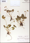 000013448-thumbnail.jpg