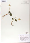 000013449-thumbnail.jpg