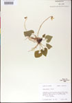 000013450-thumbnail.jpg