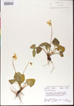 000013451-thumbnail.jpg