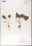 000013453-thumbnail.jpg