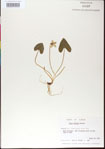 000013454-thumbnail.jpg