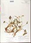 000013455-thumbnail.jpg