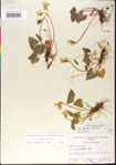 000013459-thumbnail.jpg