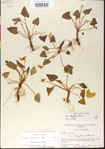 000013460-thumbnail.jpg