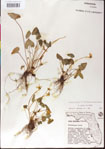 000013463-thumbnail.jpg