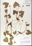 000013464-thumbnail.jpg