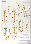 000013471-thumbnail.jpg