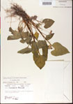000013477-thumbnail.jpg