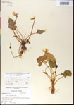 000013479-thumbnail.jpg