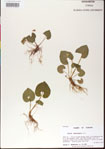 000013483-thumbnail.jpg