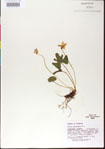 000013485-thumbnail.jpg