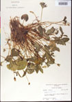000013486-thumbnail.jpg