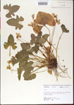 000013489-thumbnail.jpg