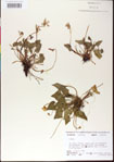 000013493-thumbnail.jpg
