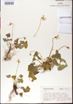 000013495-thumbnail.jpg