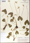 000013496-thumbnail.jpg