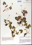 000013497-thumbnail.jpg