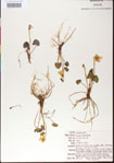 000013499-thumbnail.jpg