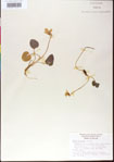 000013501-thumbnail.jpg
