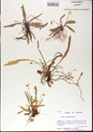000013502-thumbnail.jpg
