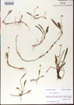 000013504-thumbnail.jpg