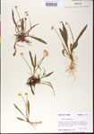 000013506-thumbnail.jpg