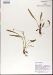 000013507-thumbnail.jpg