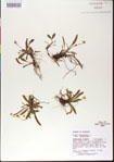 000013508-thumbnail.jpg